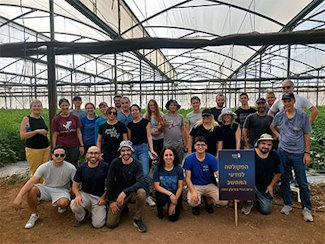 Students, Employees And Faculty Members Volunteered Today At The Tomato Greenhouses In Moshav Geva Carmel. Stronger Together!